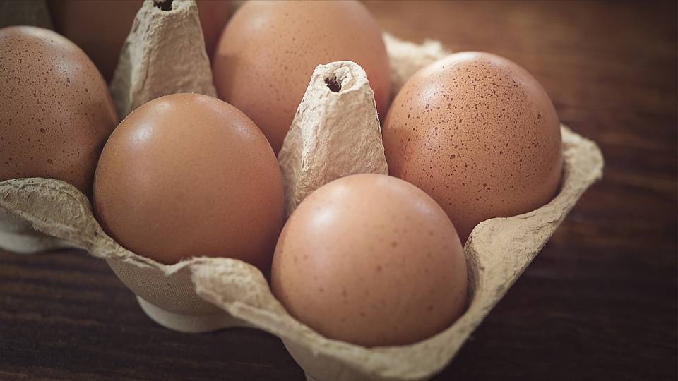 Eier in der Box