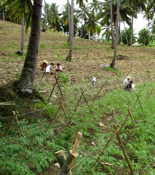 Kinder auf einem Feld mit Palmen