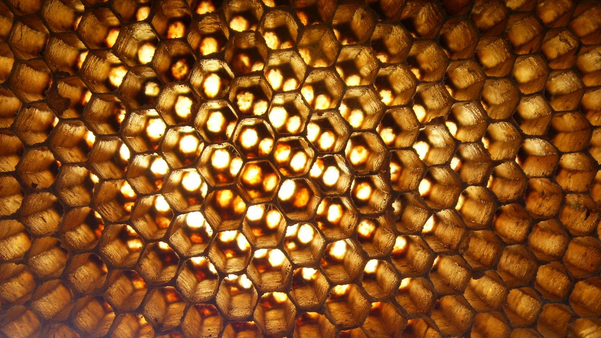 Golden honeycomb